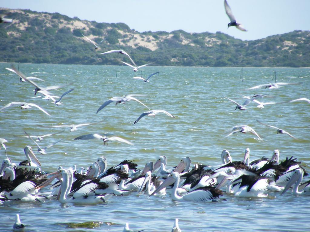 Coorong Waterfront Retreat Villa Meningie Dış mekan fotoğraf